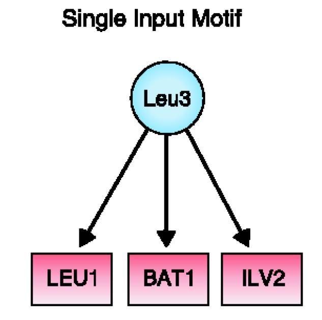 single input motif single regulator that binds a set if genes