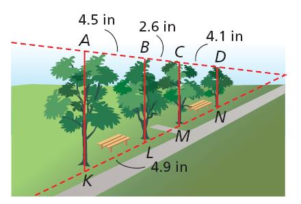 Page! 6 of! 8 3 Art Application An artist used perspective to draw guidelines to help her sketch a row of parallel trees. She then checked the drawing by measuring the distances between the trees.