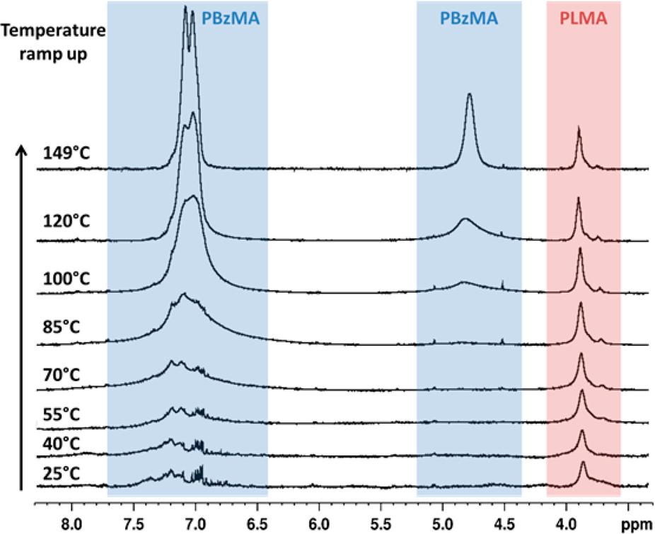 50,51 TEM studies of the original 20% w/w PLMA 16 PBzMA 37 worm gel (after dilution of this dispersion to 0.01% w/w using n-dodecane) reveal a pure worm phase at 20 C, as expected (see Figure 5A).