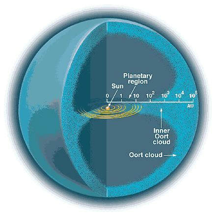 Anatomy of the Solar System Oort Cloud