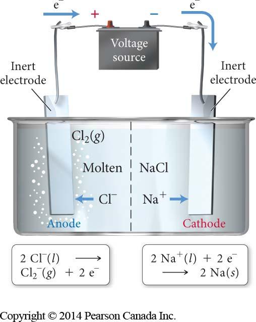 Predicting the Products of Electrolysis anion oxidized at anode cation reduced at cathode