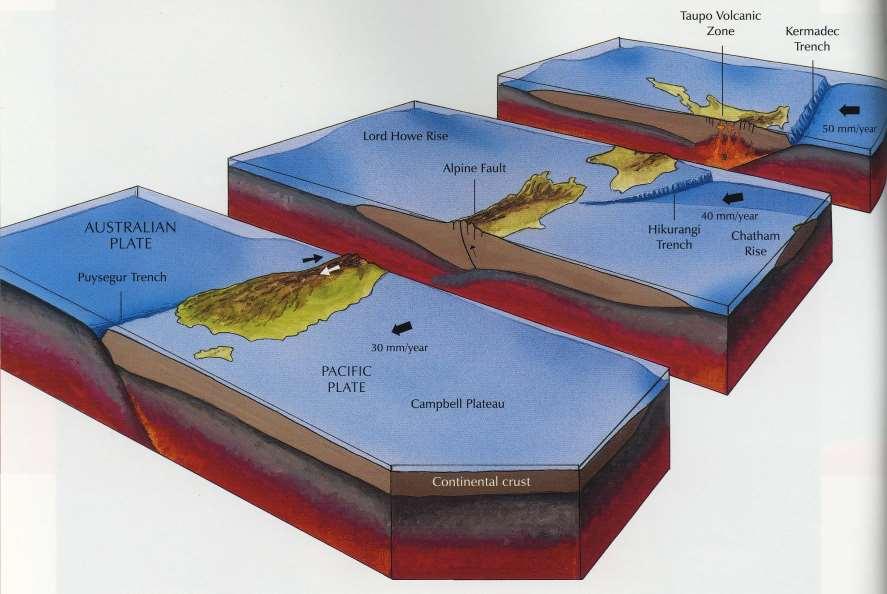 Pacific-Australia Plate Boundary Zone 50 mm/yr