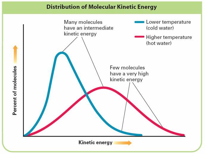 13.1 The Nature of Gases > Kinetic Energy and Temperature Average Kinetic Energy The particles in any collection of atoms or molecules at a