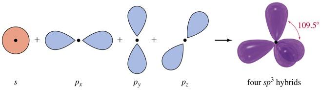 sp 3 hybridization 4 atomic orbitals 4 equivalent hybrid orbitals s + p x + p y + p z 4 sppp = 4 sp 3 Orbitals have two lobes