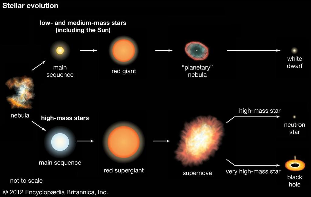 Massive Stars Massive stars are also luminous stars.