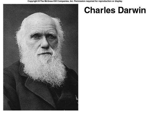 Darwin s Evidence to the Contrary: Fossil record Geographical