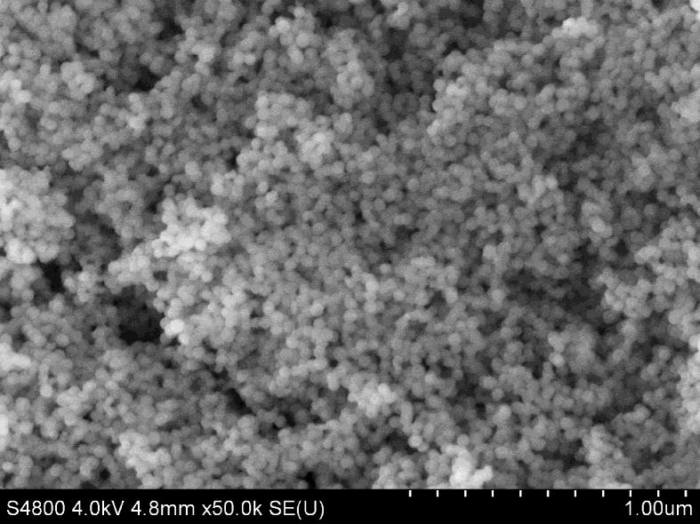Fig.S2 SEM image of Au@TTAB-SiO 2 nanoparticles. Fig.S3 TG curve of Au@TTAB-SiO 2.
