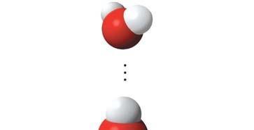 QUESTIONS: 3.1 1. Explain why water is a polar molecule. 2.