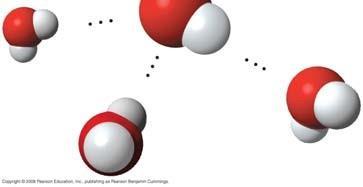 Add + and signs to indicate the charged regions of each water molecule above.