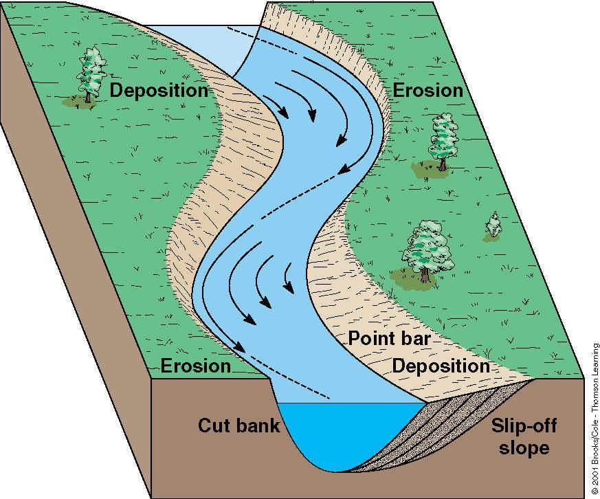 sediments to settle out and form characteristic shallow regions called point bars. 2.
