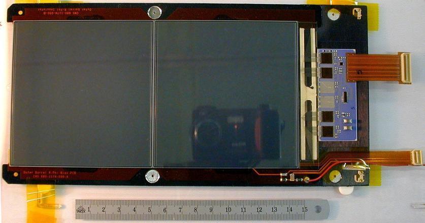 Picture of an CMS Si-Tracker Module