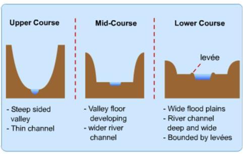 - Middle course, where tributaries join the main course. The stream transports sediments that create rich valleys for agriculture.