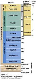 Outline 13: The Paleozoic World Shallow marine and terrestrial facies Shallow marine facies Sea level was much higher than today during much of the Paleozoic.
