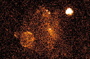 Pulsar Wind Nebulae: Vela Region W.