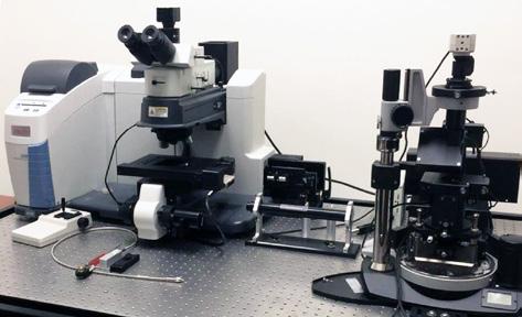 Application Note 089 short Characterization of Materials with a Combined AFM/Raman Microscope Marko Surtchev 1, Sergei Magonov 1 and Mark Wall 2 1 NT-MDT America, Tempe, AZ U.S.A. 2 Thermo Fisher Scientific, Madison, WI, U.