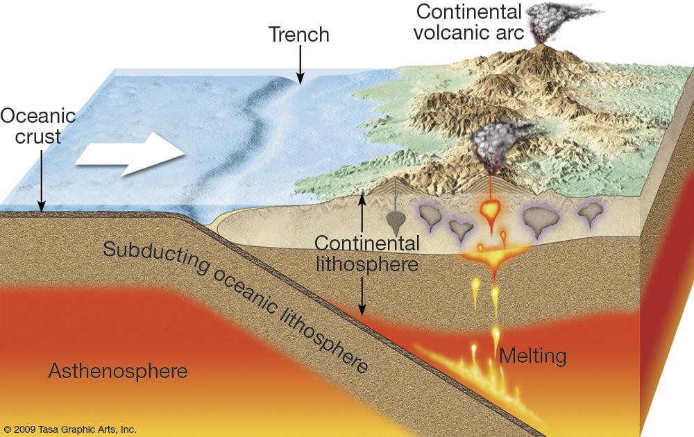 subduction zone is where the denser oceanic crust sinks below the continental plate.