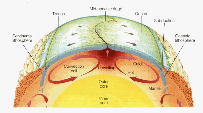 Oceanic crust is denser than the asthenosphere, so as the edge of that plate sinks, it pulls the rest of the tectonic plate with it The solid rock of the asthenosphere moves because of changes in the