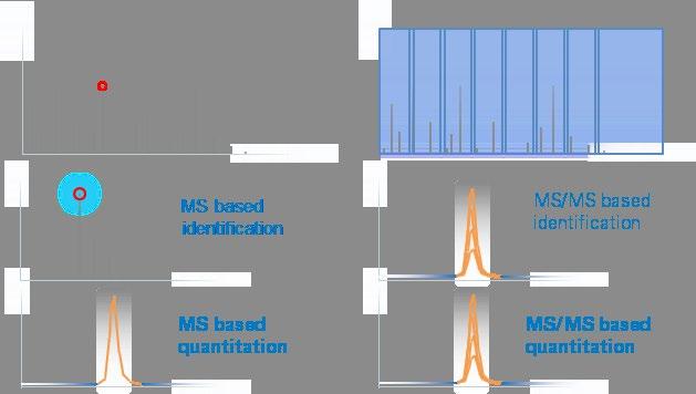 Across the Whole Range The impact II allows targeted proteomics experiments to be run in either an MS based format or at the MS/MS level based on data independent acquisition (DIA).