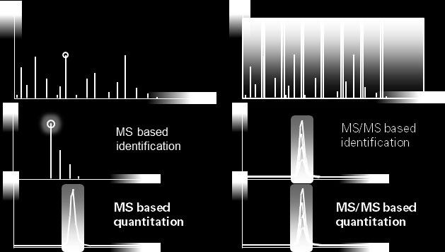 Low method development requirements Data aquisition in MS mode for targeted peptide and protein quantitation provides accurate results over a large dynamic range based on high