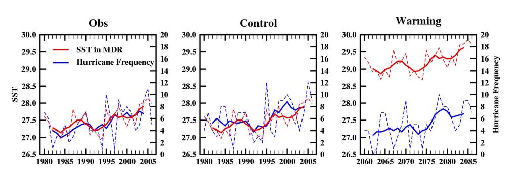 The control model reproduces the observed close relationship between SST and hurricane frequency (1980-2006), but this statistical relationship does not hold for future human-caused warming in the