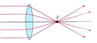 A convex lens (thick in the middle) focuses