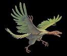 st birds Mammals, birds, insects flourish Mesozoic Era 1 st flowering trees
