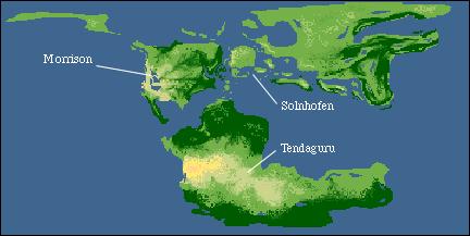 The Mesozoic: Jurassic (190 mya) 200 mya Pangea starts breaking up Laurasia & Gondawana Oceans are barriers to gene flow =