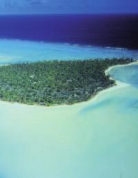 Polynesian Lagoon Water Polynesian REMINERALIZING VOLCANIC WATER.