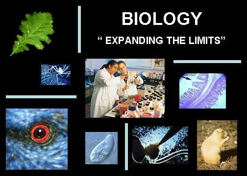 The study of life Living things are known as organisms. The living world and the non-living world are mixed.