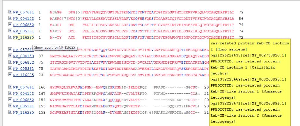 Result of their alignment, Select NP_116235 protein.