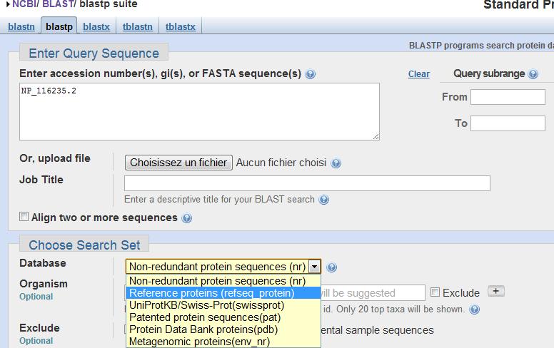 Step 5: BLAST searches Select the link to the BLAST page from the protein record. The link leads to the blastp page with the query accession added.