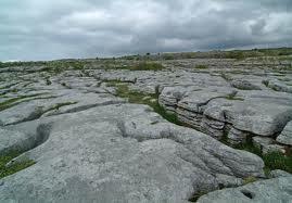 Surface Landforms: Limestone Pavement Exposed areas of limestone Rugged and bare