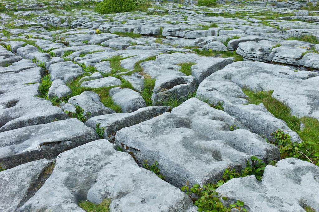 Features of limestone pavements Clint: section of a limestone pavement separated from adjacent sections by grikes Grike: