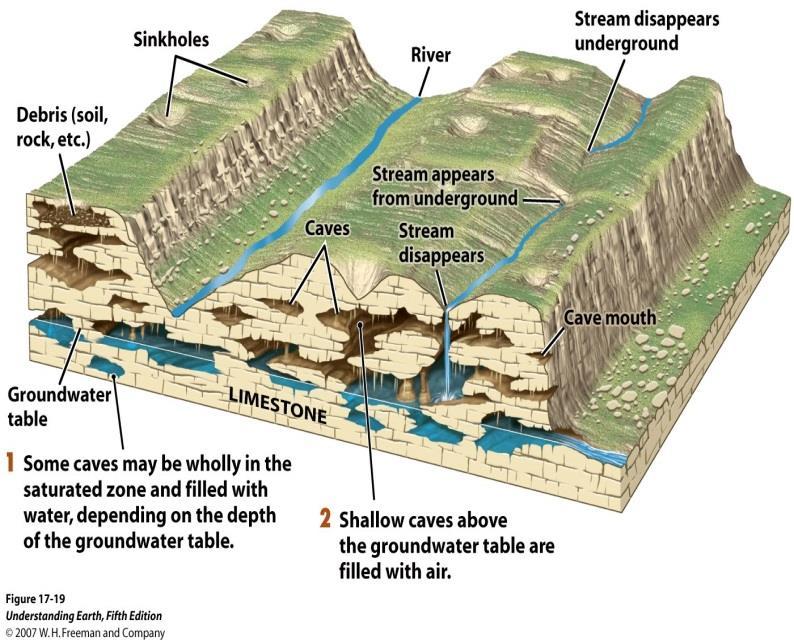 Subsurface Karst Features: Caverns Limestone caverns and caves are large sub-surface voids where the rocks has been dissolved by carbonation.