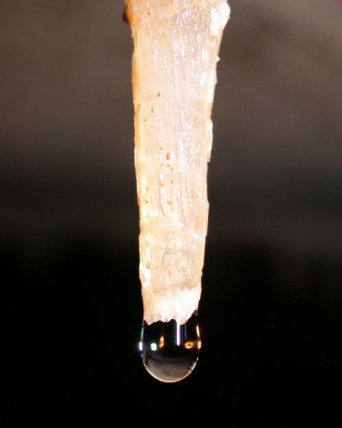 Soda straws to stalactites Soda straws are initially hollow, allowing dissolved limestone to travel through the tube.