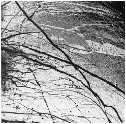 flows are virtually pure water ice Europa s density is relatively high 85% to 90% of Europa s mass must be rocky material Basic processes Tidal heating by Jupiter, Io & Ganymede Only ~ 25% as much as