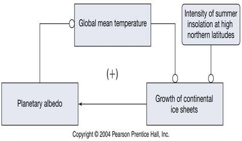 Positive Climate Feedback Loops Ice-albedo feedback loop Ice albedo decreases temperature, increases ice.