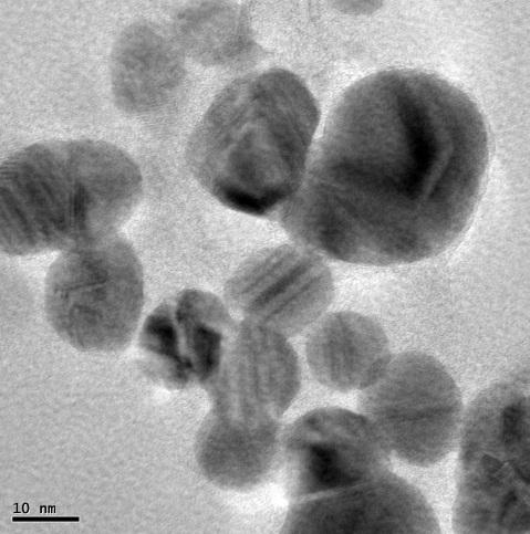 image (Figure 5) showing the high density Ag-NPs synthesized by the Padina tetrastromatica further confirmed the development of silver