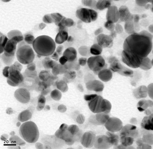 The SEM micrographs of nanoparticle obtained in the filtrate showed that Ag-NPs are spherical shaped, well distributed without