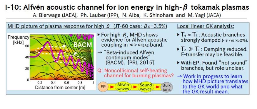 A. Bierwage (I-10) Introductory Talk that Asks the question of whether we can heat ions having unstable beta Alfven waves heat plasma by simultaneously