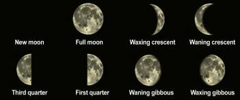 Moon Phases What does the moon look like