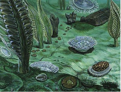 The Precambrian The Precambrian was a long time ago, fossils are spotty.