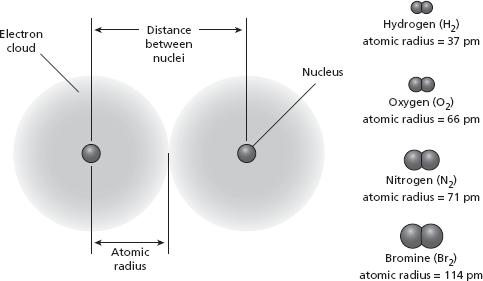 Introduction to Atoms Read the passage and study the figure below it. Then use a separate sheet of paper to answer the questions that follow the figure. Exactly How Small Is It?