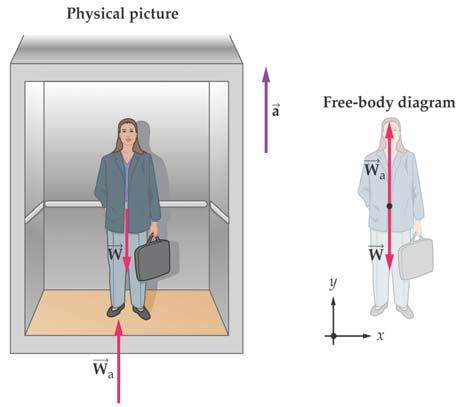Apparent Weight Elevator not accelerating: W+W a =0 Elevator accelerates up: W+W a =ma -W+W a =ma W a