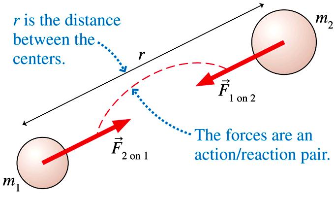 Newton s Law of Gravit* Newton proposed that ever object in the universe attracts ever other object with a force that has the following properties: 1.