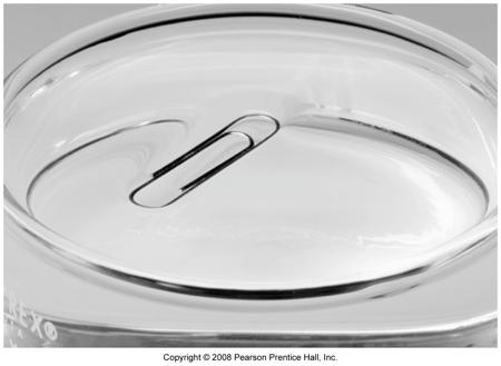 Tro 11.4 Surface tension: Molecules at the liquid surface have a higher potential energy than those in the interior.