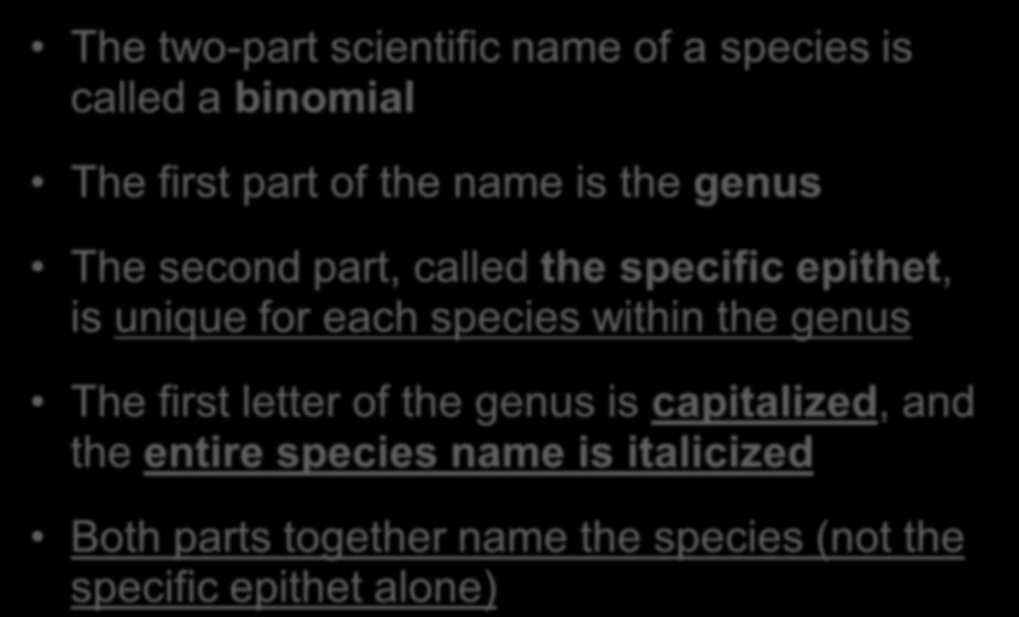 The two-part scientific name of a species is called a binomial The first part of the name is the genus The second part, called the specific epithet, is unique for each species