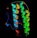 into smaller independent units of tertiary structure called domains domains are
