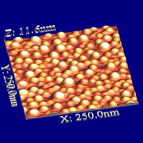 2D self-assembly of nanoparticles Three-dimensional AFM image of Au nanoparticles on STO substrate
