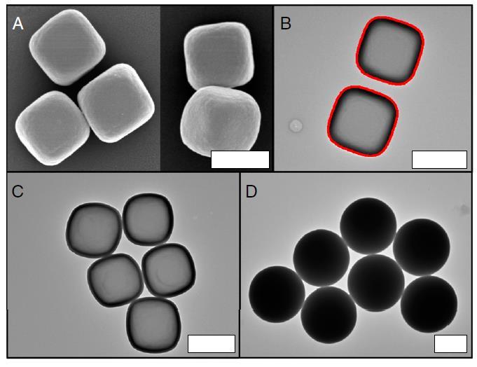 Shape-sensitive crystallization in colloidal superball fluids, Laura Rossia et al., 5286 5290 PNAS April 28, 2015 vol.